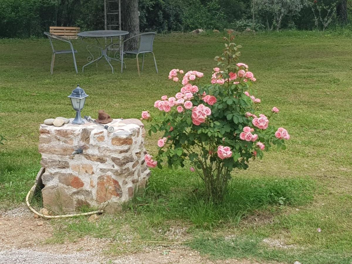 Le Jardin Des Selves Bed & Breakfast Draguignan Luaran gambar